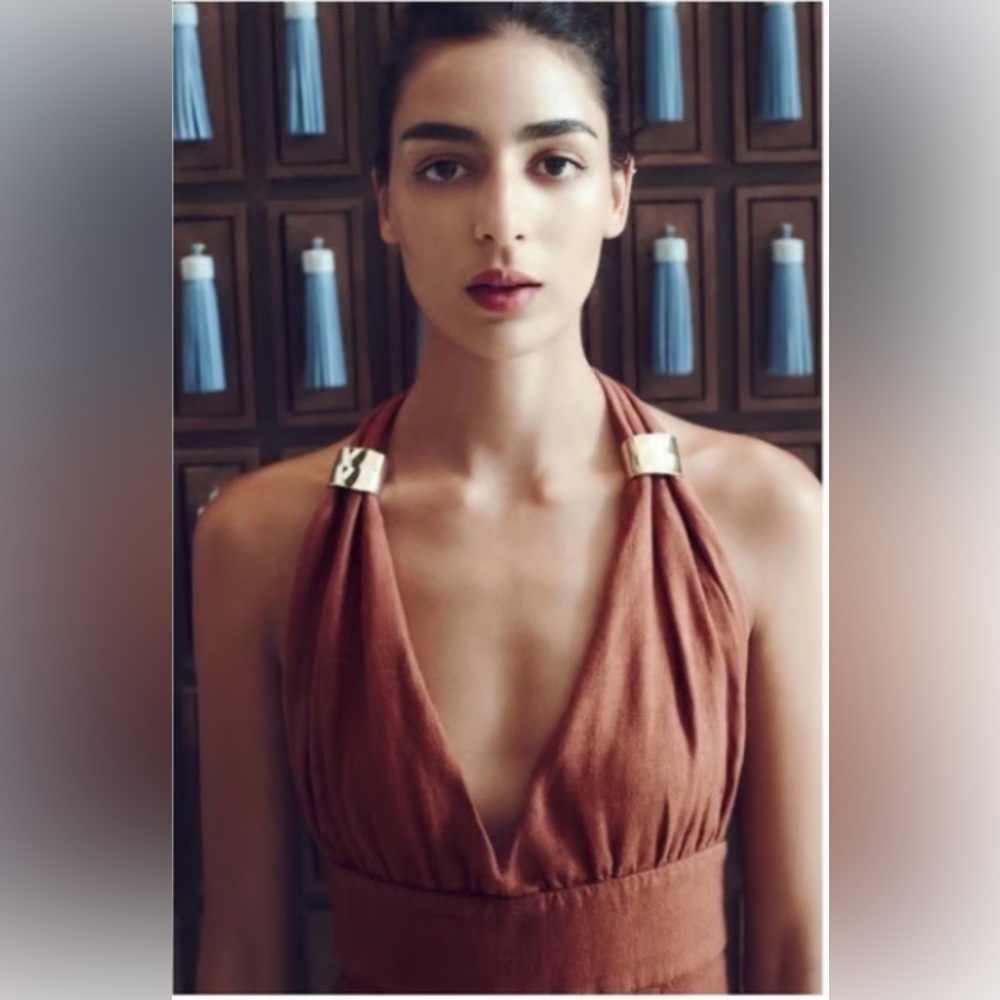 Zara Rust Brown Backless Maxi Dress - Picture 4 of 14